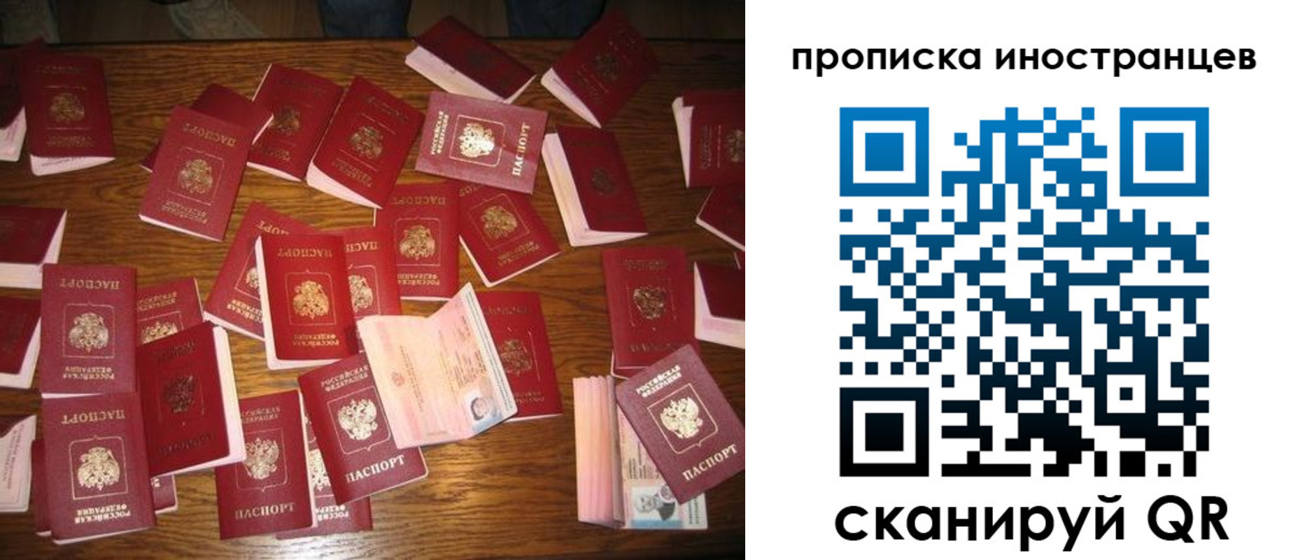 найти адрес прописки в Белой Холунице